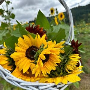 Meet your Posher, Kay